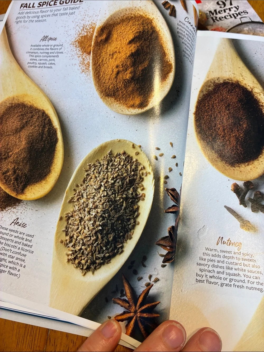 Taste of Home Fall Baking cookbook & Holiday Baking cookbook magazine set